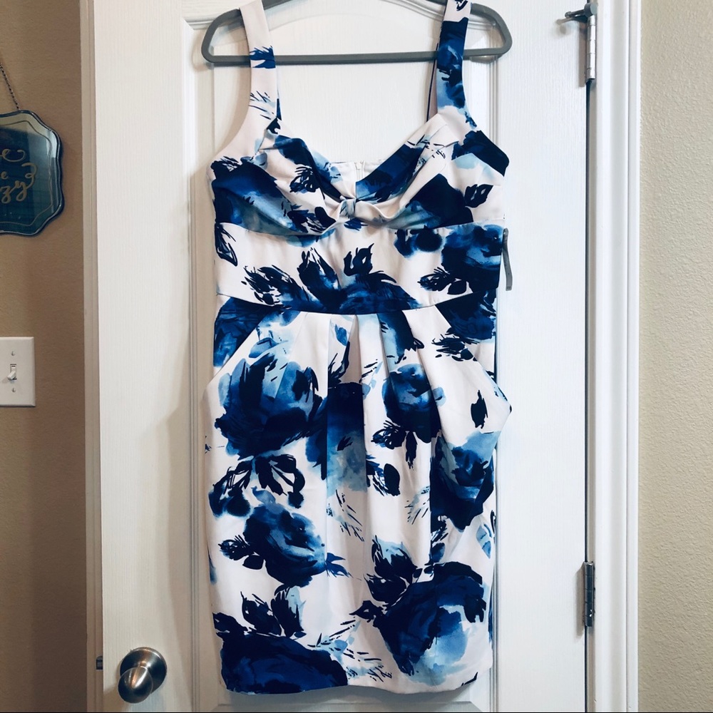 Bisou Bisou Dress